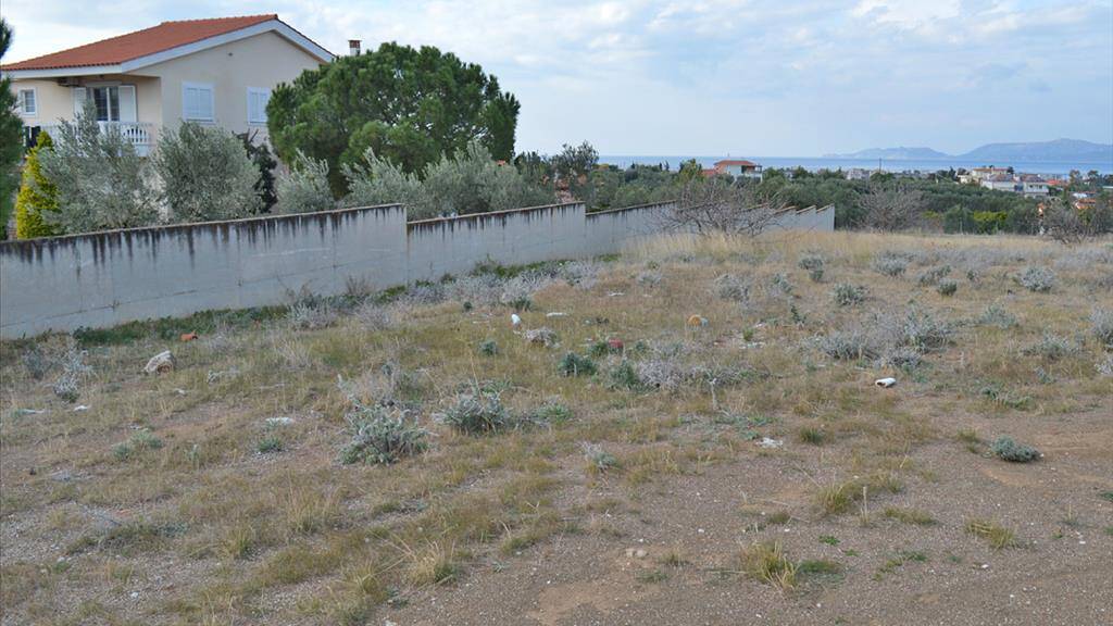 Land-/Forstwirtschaft zum Kauf 200.000 € 4.700 m² Grundstück Ostpeloponnes