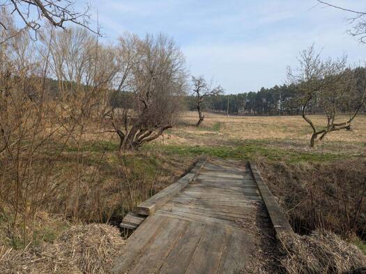 Grundstück zum Kauf als Kapitalanlage geeignet 30.000 € 1 Zimmer 5.870 m² Grundstück Ateritzer Lindenstraße 20 Ateritz Kemberg 06901