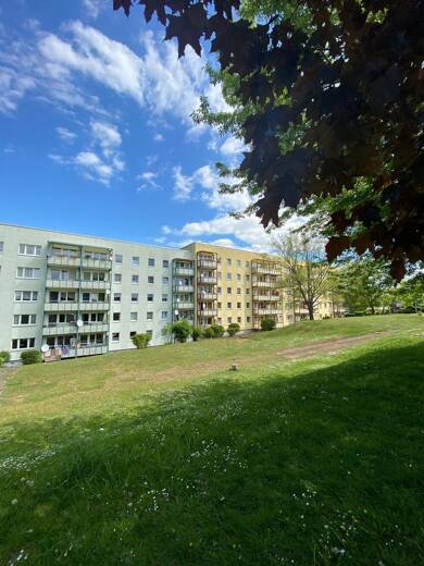 Wohnung zur Miete 380 € 3 Zimmer 62 m² 1. Geschoss frei ab 01.06.2025 Schadebergstr. 23 Mühlhausen Mühlhausen 99974