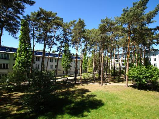 Wohnung zur Miete 480 € 2 Zimmer 71,5 m² 1. Geschoss Falkenhorst 9 Jessen Jessen (Elster) 06917