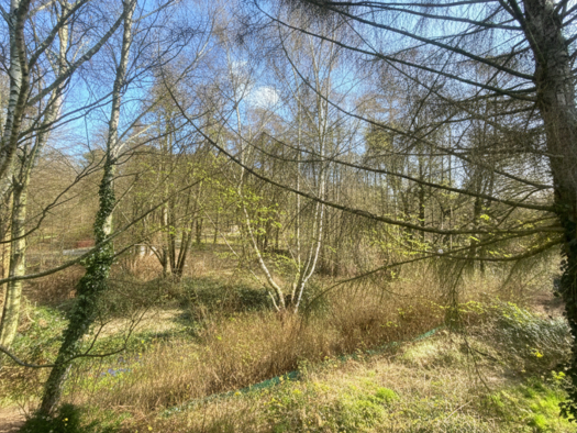 Grundstück zum Kauf 195.000 € 675 m² Grundstück Birkenstein Hoppegarten 15366