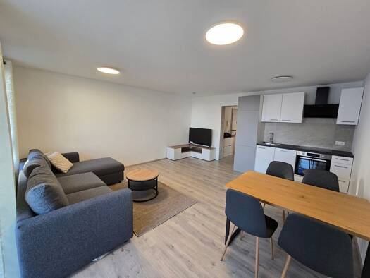 Wohnung zur Miete 1.150 € 2 Zimmer 54 m² Plattenwald Bad Friedrichshall 74177