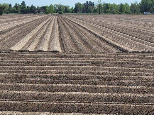 Land-/Forstwirtschaft zum Kauf 38.298 m² Grundstück Sulzbach Aichach 86551