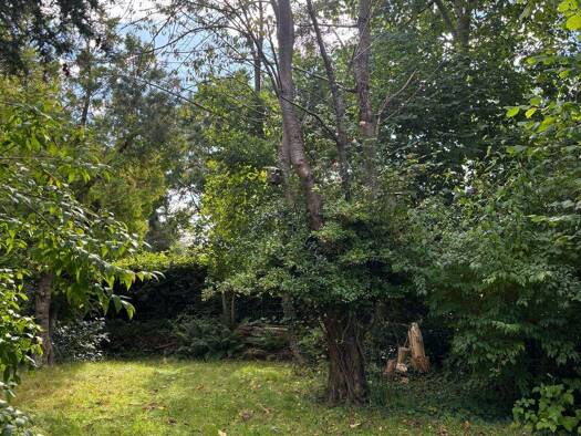 Grundstück zum Kauf 210.000 € 1.350 m² Grundstück Gartenstraße 23 Rendsburg 24768