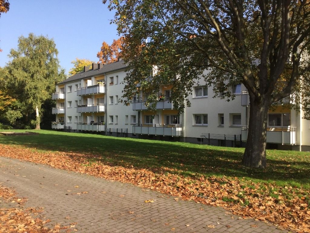 Wohnung zur Miete 451 € 2 Zimmer 53 m²<br/>Wohnfläche 1.<br/>Geschoss ab sofort<br/>Verfügbarkeit Gladbacher Straße 257 Hamm - Beberich Viersen 41748