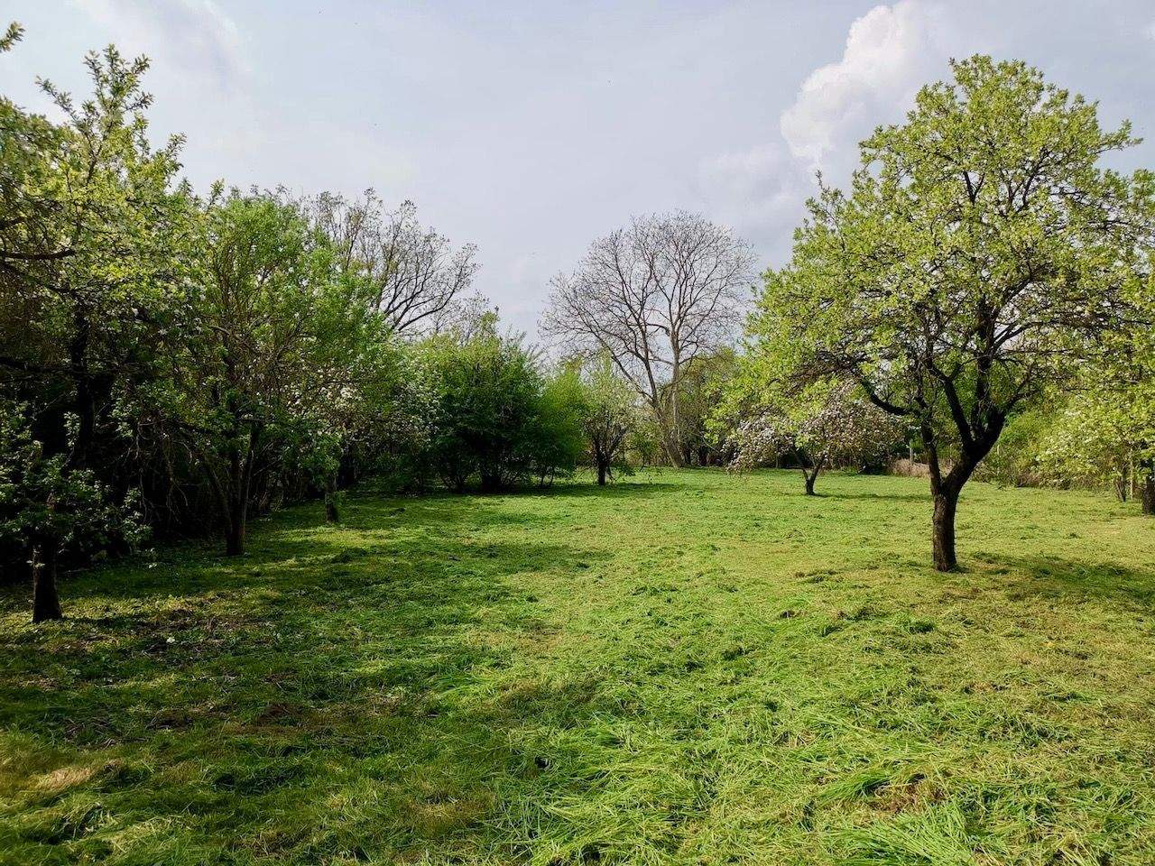 Immobilie in Strausberg - Baugrundstück mit vorhandenem Wohnhaus in Hohenstein bei Strausberg - Bild 1