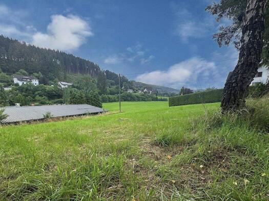 Grundstück zum Kauf 80.000 € 1.145 m² Grundstück Cobbenrode Eslohe 59889