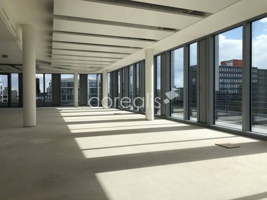 Bürofläche zur Miete provisionsfrei 19,50 € 1.117 m² Bürofläche Golzheim Stadtbezirk 1 40476