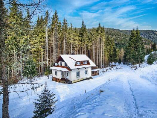 Haus zum Kauf 160.000 € 5 Zimmer 109 m² 4.259 m² Grundstück Himmelberg 9563