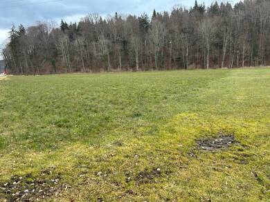 Land-/Forstwirtschaft zum Kauf 321.000 € 17.833 m² Grundstück Aiging Nußdorf 83365