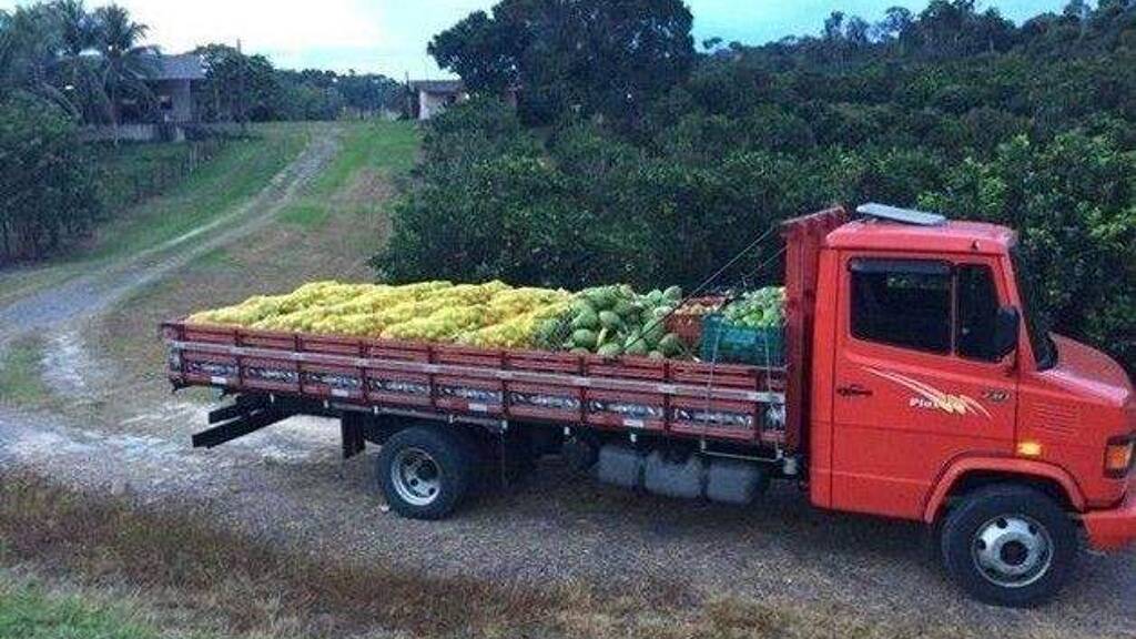 Grundstück zum Kauf 1.390.000 € 9.999.999 m² Grundstück Manaus 69054717