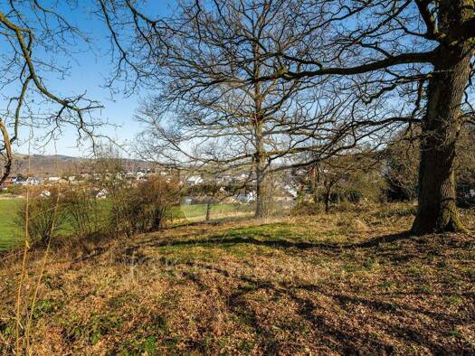 Grundstück zum Kauf 220.000 € 2.405 m² Grundstück Eitorf 53783