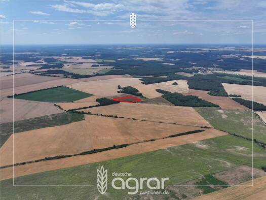 Land-/Forstwirtschaft zum Kauf 19.900 € 19.156 m² Grundstück Hohenwerbig Niemegk 14823