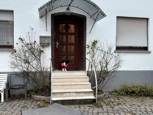 Wohnung zur Miete 650 € 2 Zimmer 65 m² EG frei ab sofort Odenwaldstraße 39 Hering Otzberg 64853
