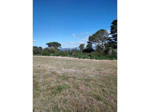 Büro zum Kauf 40.000.000 € Ancud