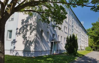 Wohnung zur Miete 282 € 2 Zimmer 46 m² 2. Geschoss Ahornallee 63 Löbau Löbau 02708
