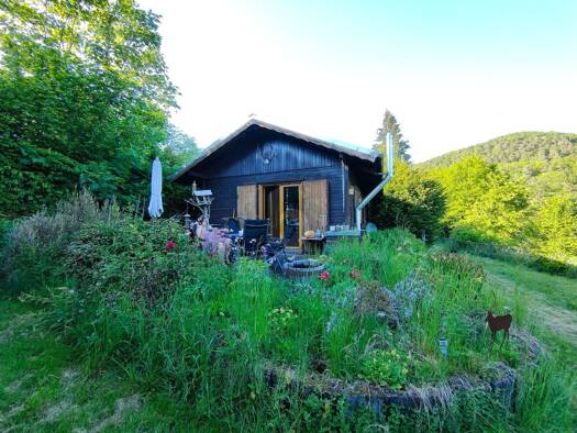 Haus zum Kauf 110.000 € 3 Zimmer 48 m² 700 m² Grundstück Wallau Biedenkopf 35216