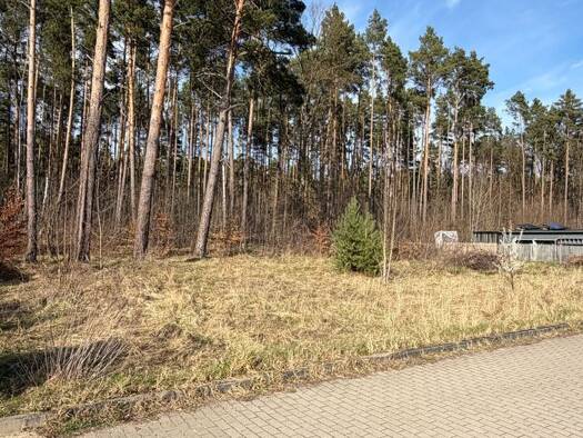 Grundstück zum Kauf provisionsfrei 390.000 € 827 m² Grundstück Dianaallee 52 Borgsdorf Hohen Neuendorf 16556