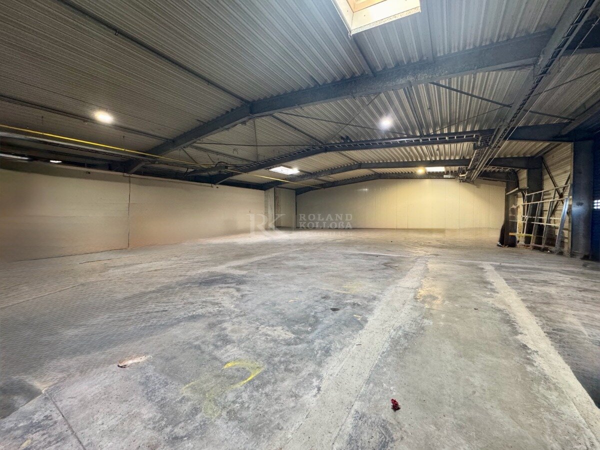 Lagerhalle zur Miete 2.750 € 600 m²<br/>Lagerfläche Ramstein Ramstein-Miesenbach 66877