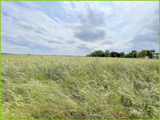 Land-/Forstwirtschaft zum Kauf 300.000 € 21.363 m² Grundstück Osterflierich Hamm 59069