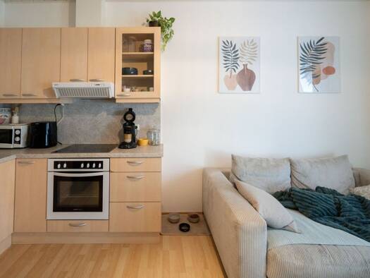 Wohnung zum Kauf 99.000 € 2 Zimmer 46,1 m² EG Niederkappel 4133