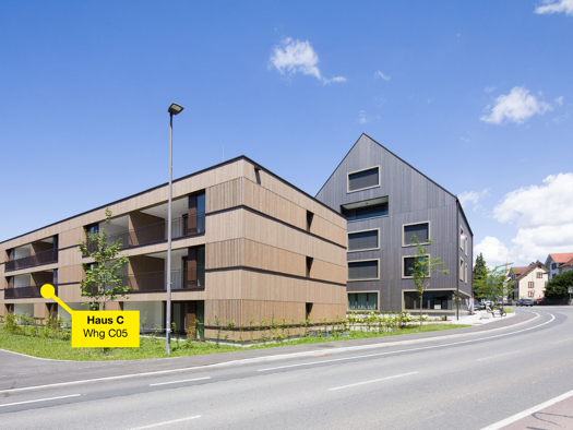 Terrassenwohnung zur Miete - Erstbezug 1.158 € 2 Zimmer 53,2 m² frei ab 01.10.2025 Haselstauderstraße 15 Dornbirn 6850