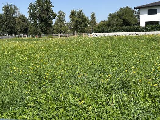 Grundstück zum Kauf provisionsfrei 149.820 € 660 m² Grundstück Baugenehmigung vorhanden Ostermiething 5121