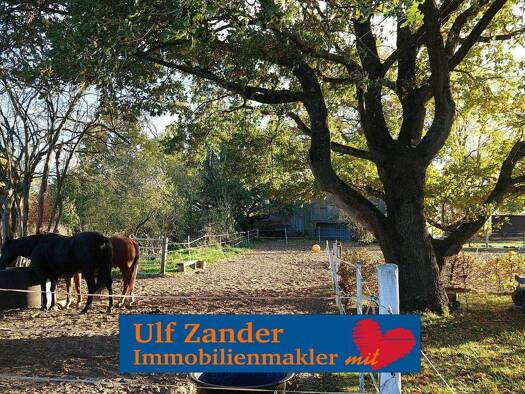 Haus zum Kauf 260.000 € 6 Zimmer 259,4 m² 10.218 m² Grundstück Thielitz Kakau Soltendieck 29594