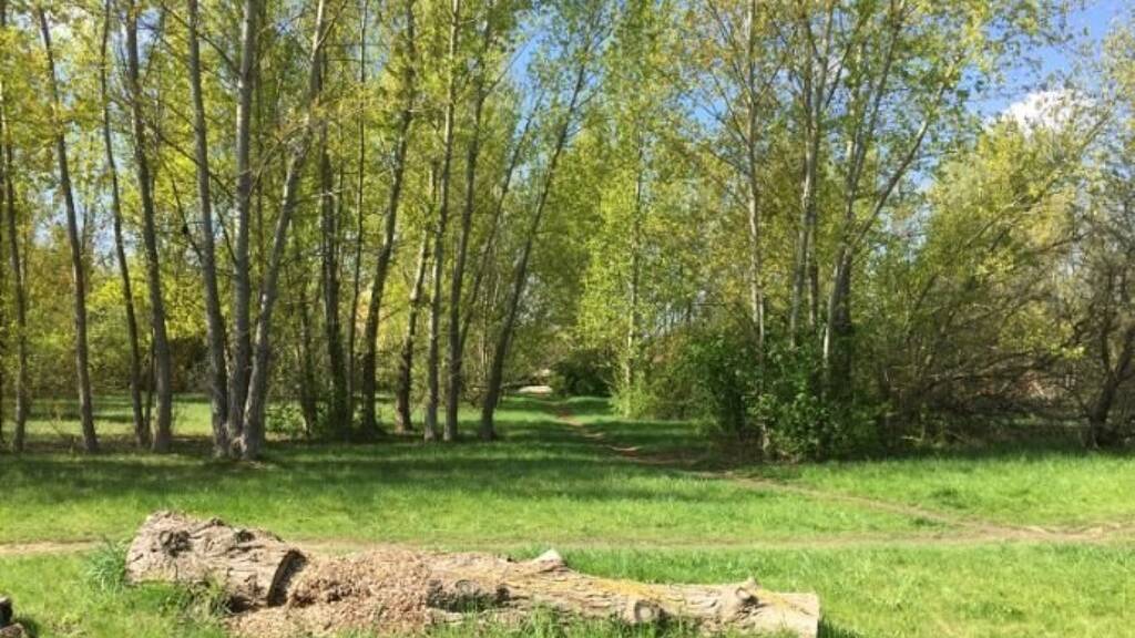 Grundstück zum Kauf 305.000 € 932 m² Grundstück Nordwest Magdeburg 39128