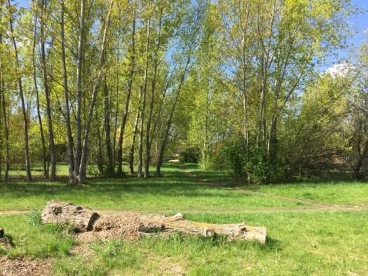 Grundstück zum Kauf 305.000 € 932 m² Grundstück Nordwest Magdeburg 39128