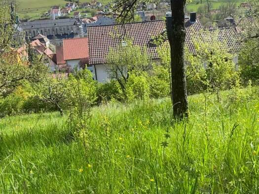 Grundstück zum Kauf provisionsfrei 92.500 € 918 m² Grundstück Wingertsbergstr.20 Ebrach 96157