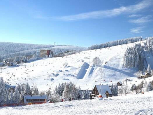 Wohnung zur Miete 240 € 1 Zimmer 40 m² 1. Geschoss Oberwiesenthal Oberwiesenthal 09484