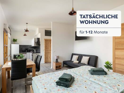 Wohnung zur Miete 1.638 € 1 Zimmer frei ab sofort Böhlitz-Ehrenberg Alt-West 04178