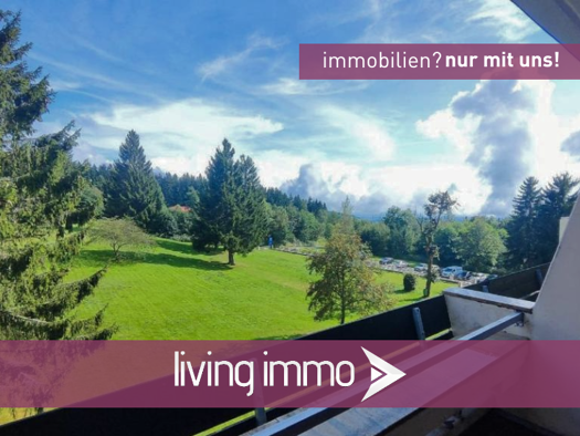 Wohnung zum Kauf 54.900 € 1 Zimmer 38 m² 2. Geschoss Sankt Englmar 94379