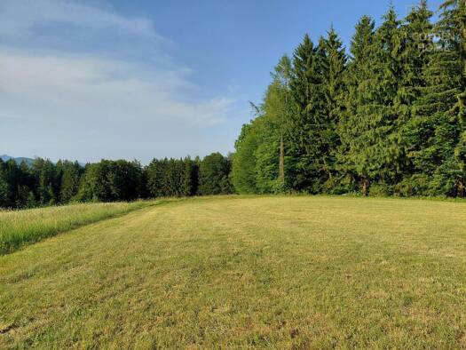 Grundstück zum Kauf 350.000 € 3.453 m² Grundstück Sankt Oswald bei Plankenwarth 8113