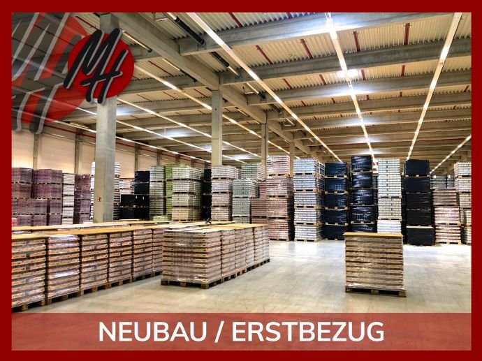 Lagerhalle zur Miete 3.500 m²<br/>Lagerfläche Waldkolonie Darmstadt 64293