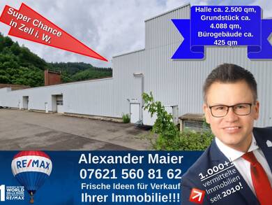 Produktionshalle zum Kauf 499.000 € 2.500 m² Lagerfläche Zell Zell im Wiesental 79669