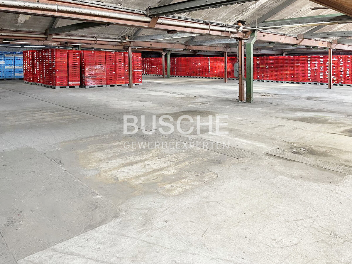 Lagerhalle zur Miete 3.110 m²<br/>Lagerfläche Ostenfelde Bad Iburg 49186