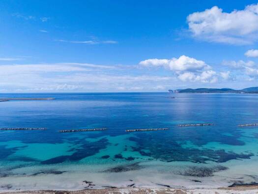 Wohnung zum Kauf 890.000 € 8 Zimmer 260 m² Alghero 07041