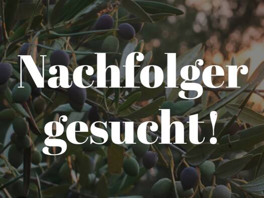 Gastronomie/Hotel zum Kauf 250.000 € Lebenstedt Salzgitter 38226