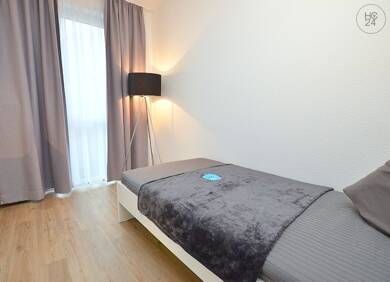 Wohnung zur Miete Wohnen auf Zeit 665 € 1 Zimmer 21 m² frei ab 01.08.2025 Frauenland Würzburg 97074