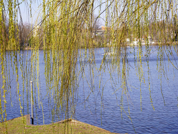 Wohnung zum Kauf 212.000 € 2 Zimmer 59,7 m² Grindelwaldweg XX Reinickendorf Berlin 13407