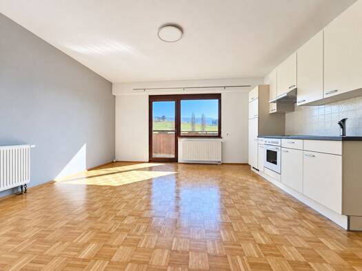Wohnung zur Miete 720 € 2 Zimmer 93,1 m² Jägerberg Steyr 4400