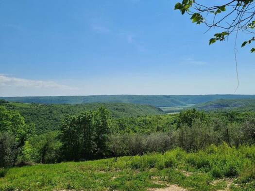 Grundstück zum Kauf 150.000 € 1.000 m² Grundstück BUJE