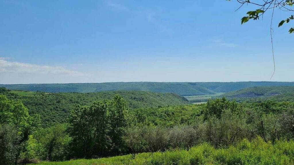 Grundstück zum Kauf 150.000 € 1.000 m² Grundstück BUJE