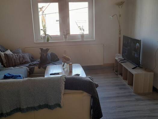Wohnung zur Miete 380 € 3 Zimmer 90 m² 2 Geschosse frei ab 01.12.2025 Hauptstraße 70 Lossa Finne 06647