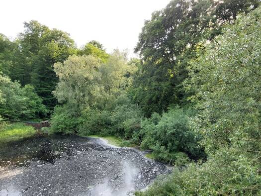 Wohnung zum Kauf 572.000 € 3 Zimmer 104 m² Wohldorf-Ohlstedt Hamburg 22397