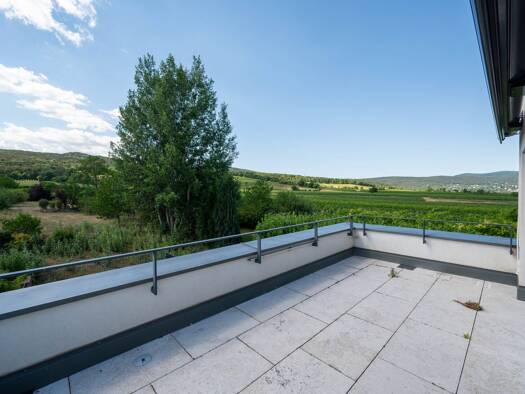 Villa zum Kauf 2.500.000 € 5 Zimmer 390 m² 2.572 m² Grundstück Baden 2500