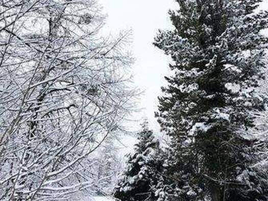 Grundstück zum Kauf 389.980 € 820 m² Grundstück Glienicke/Nordbahn 16548