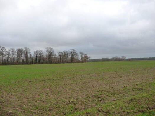 Haus zum Kauf 36.538 m² Grundstück Wulften Badbergen 49635